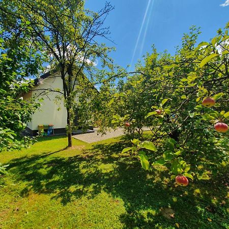 Tetmajera View & Garden Villa Debica  Exterior photo