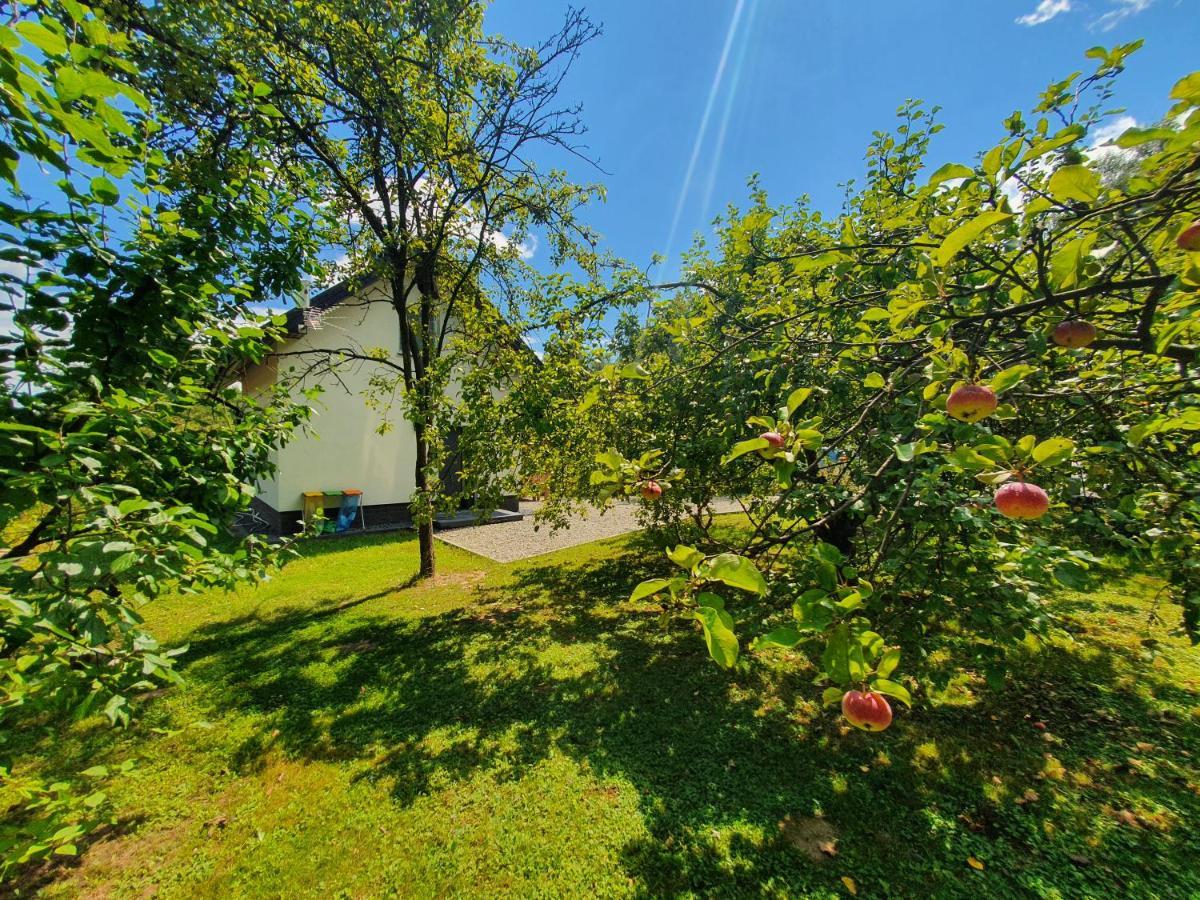 Tetmajera View & Garden Villa Debica  Exterior photo